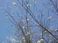 SN3D0405.jpg