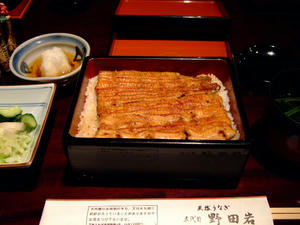 2008_06226220010.JPG