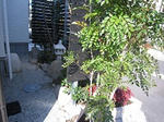IMG_0963.jpg