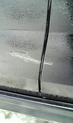 DVC00064.jpg