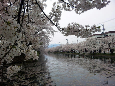20110503_02.jpg