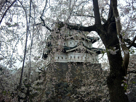 20110503_05.jpg