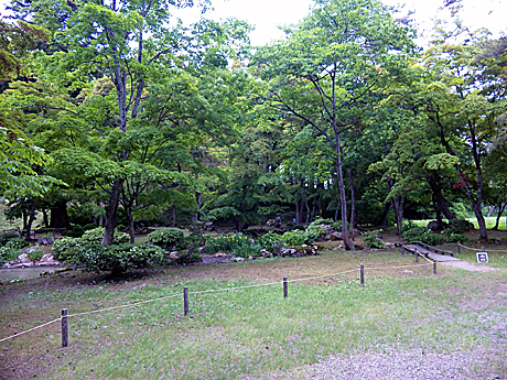 20130615_03.jpg