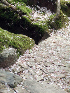 銀閣寺