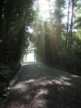 大神神社2