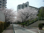 P1010224.JPG