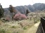 CA3I02160001.jpg