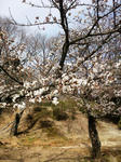 CA3I02190001.jpg