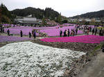 CA3I02350001.jpg