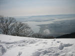IMG_0048.JPG