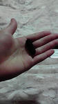 P1000047.JPG
