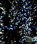 P1000057.JPG