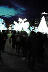 P1000056.JPG