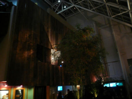 P1050847.JPG