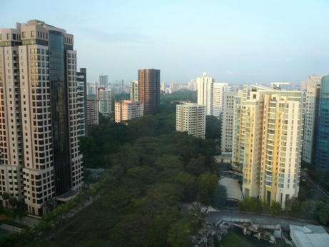 26b23927.JPG