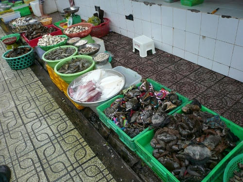 P1070147.JPG