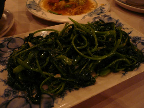 P1070200.JPG