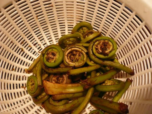 dinner0502.JPG