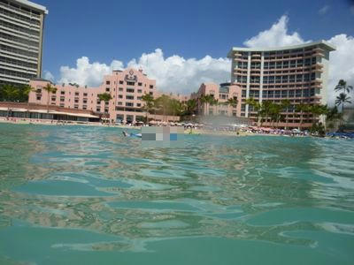 P1000714.JPG