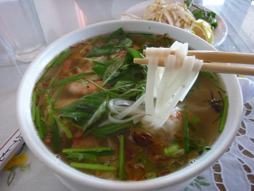 P1000790.JPG
