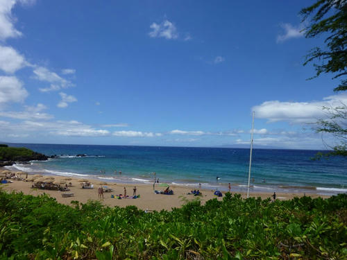 P1000791.JPG