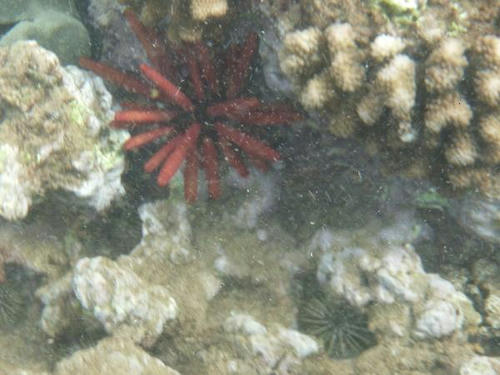 P1000812.JPG