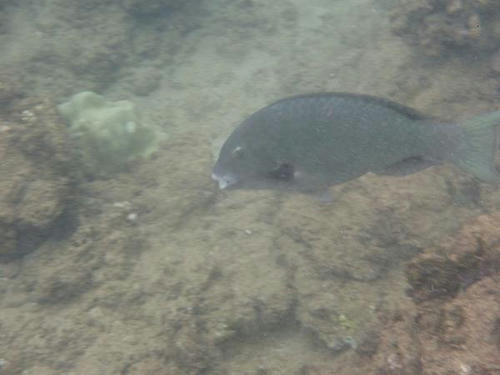 P1000820.JPG