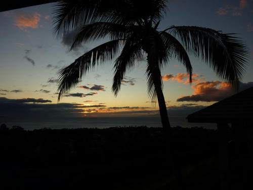 P1000833.JPG