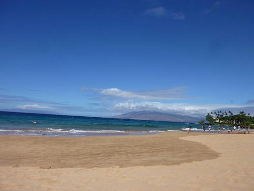 P1000839.JPG