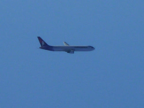 P1000974.JPG
