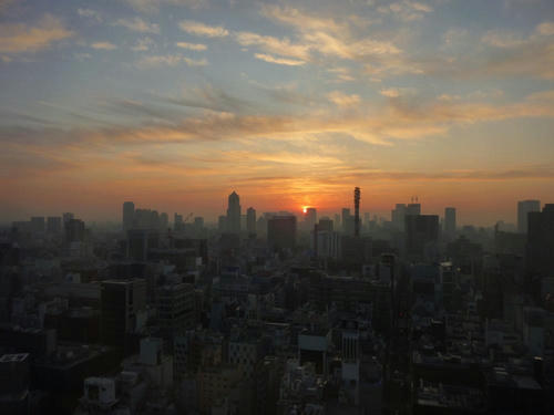P1010073.JPG