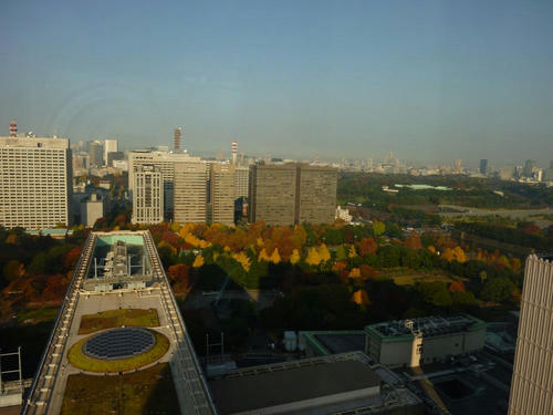 P1010074.JPG
