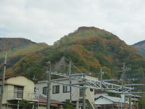 P1010108.JPG