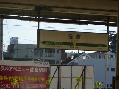 P1010139.JPG