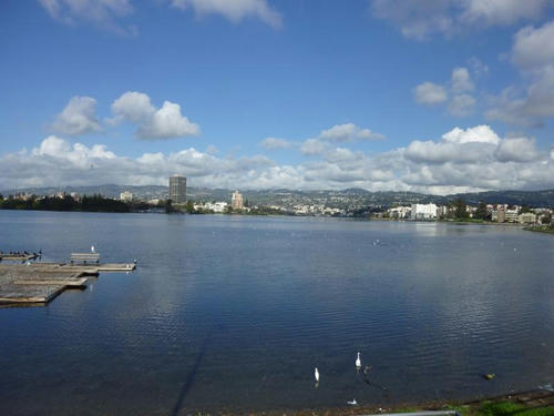 P1010682.JPG