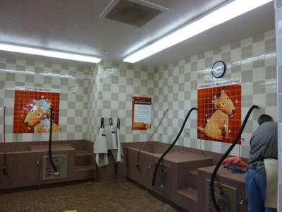 P1020056.JPG