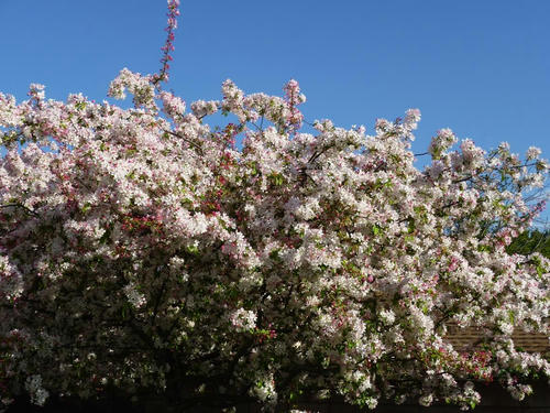 P1020107.JPG
