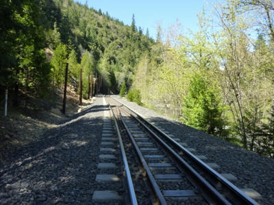 P1020463.JPG