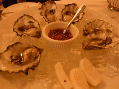 P1020542.JPG
