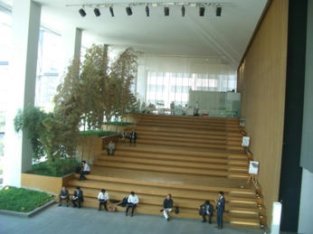 CIMG6386.JPG