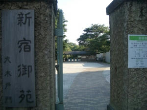 CIMG6391.JPG