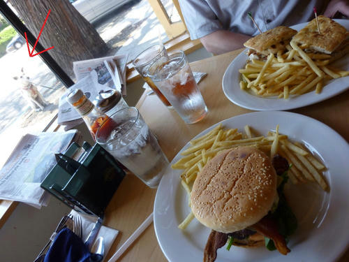P1000046.JPG