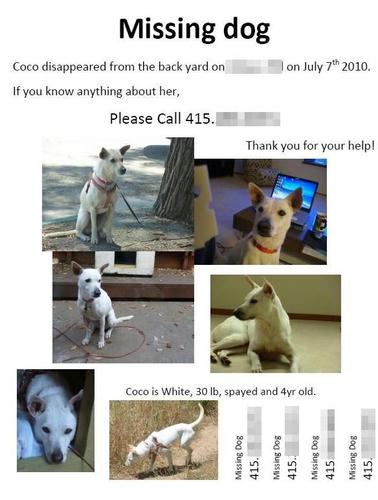539a2e61.jpg