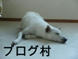 a0a06a91.gif