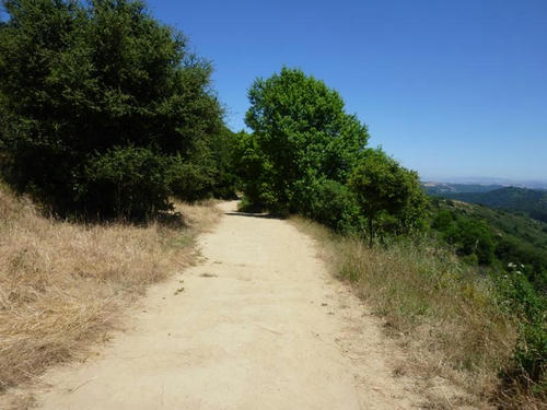 P1000093.JPG