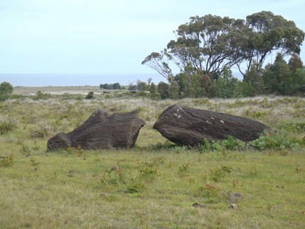PB300519.JPG