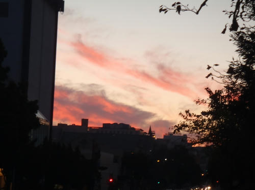 P1220555.JPG