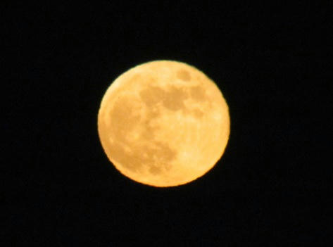 IMG_0049.JPG