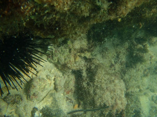 P9260165.JPG