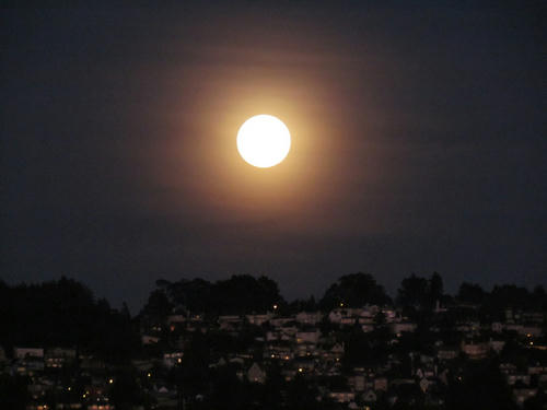 IMG_2442.JPG
